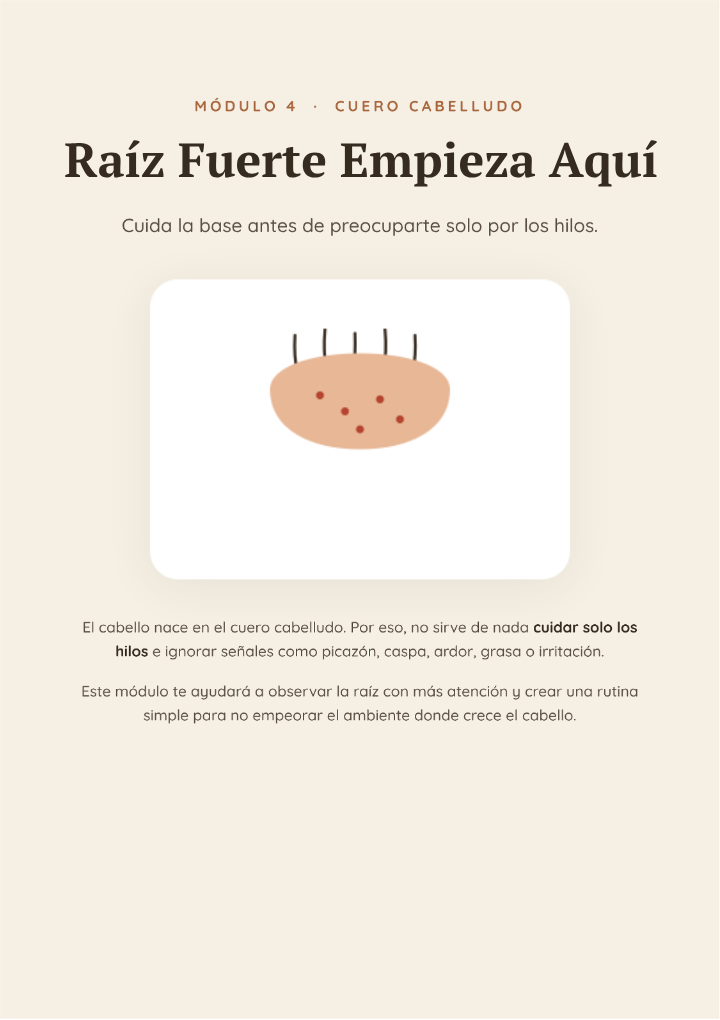 Módulo 4